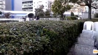 未成年禁入,免费不卡日本一区二区三区,海量高清AV在线看